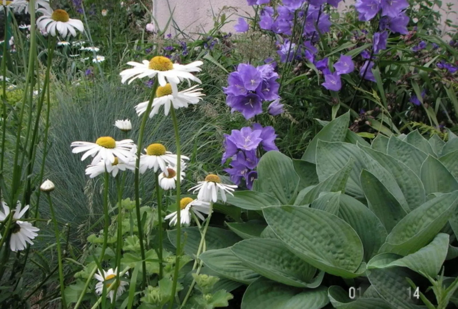 Gite Les Coquelicots Proche Mer Paimpol Prázdninový dům